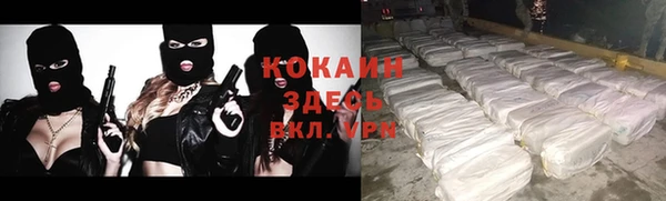 дживик Осташков