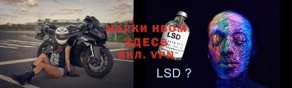дживик Осташков