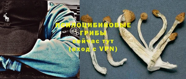 дживик Осташков