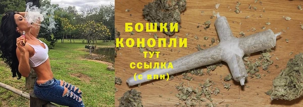 дживик Осташков