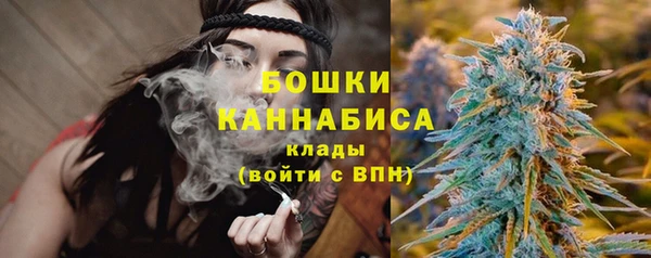 дживик Осташков